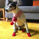 MEDIAS NAVIDAD
