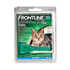 FRONTLINE PLUS PIPETA GATOS