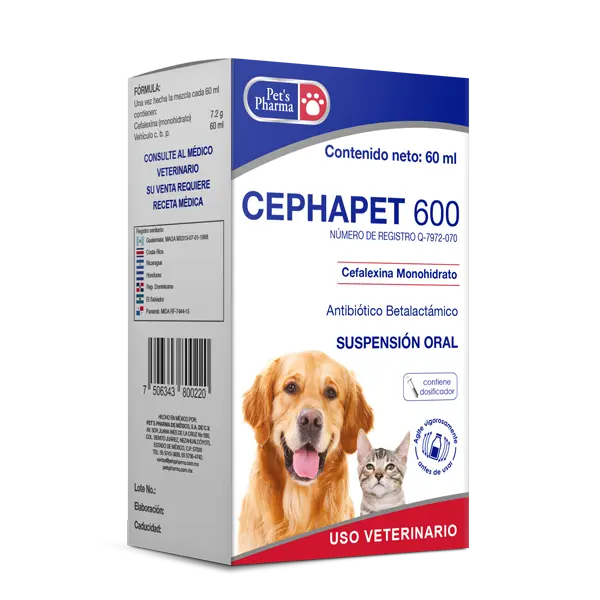 CEPHAPET 600 SUSPENSION ORAL 60ML