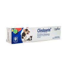 CLINDASERIN 30GR