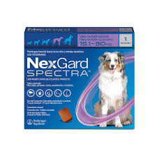 NEXGARD SPECTRA L 15.1 - 30 KG