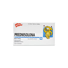 HOLIDAY PREDNISOLONA 20MG