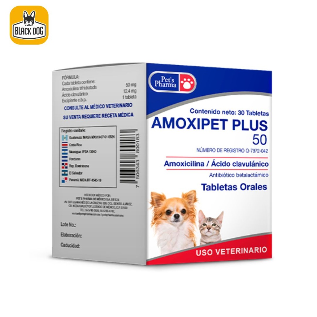 AMOXIPET PLUS 50