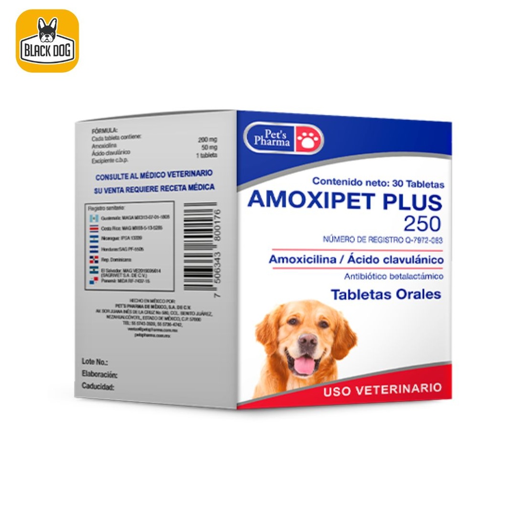AMOXIPET PLUS 250