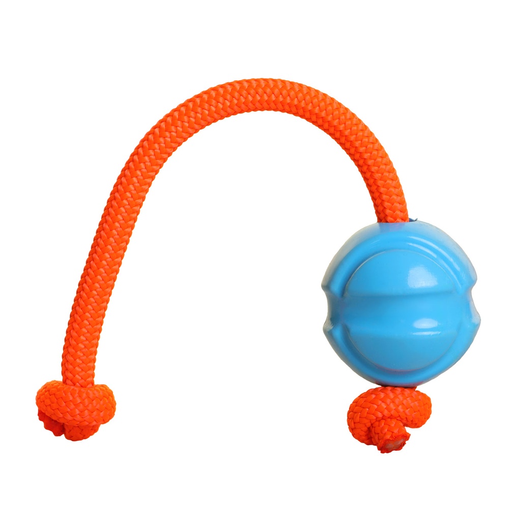 DOOG FETCHABLE BALL & ROPE BLUE