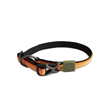 DOG COLLAR - TANGERINE-L