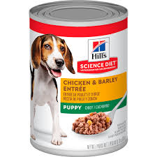 DOG STEP-IN-HARNESS - GRAFFITI-M