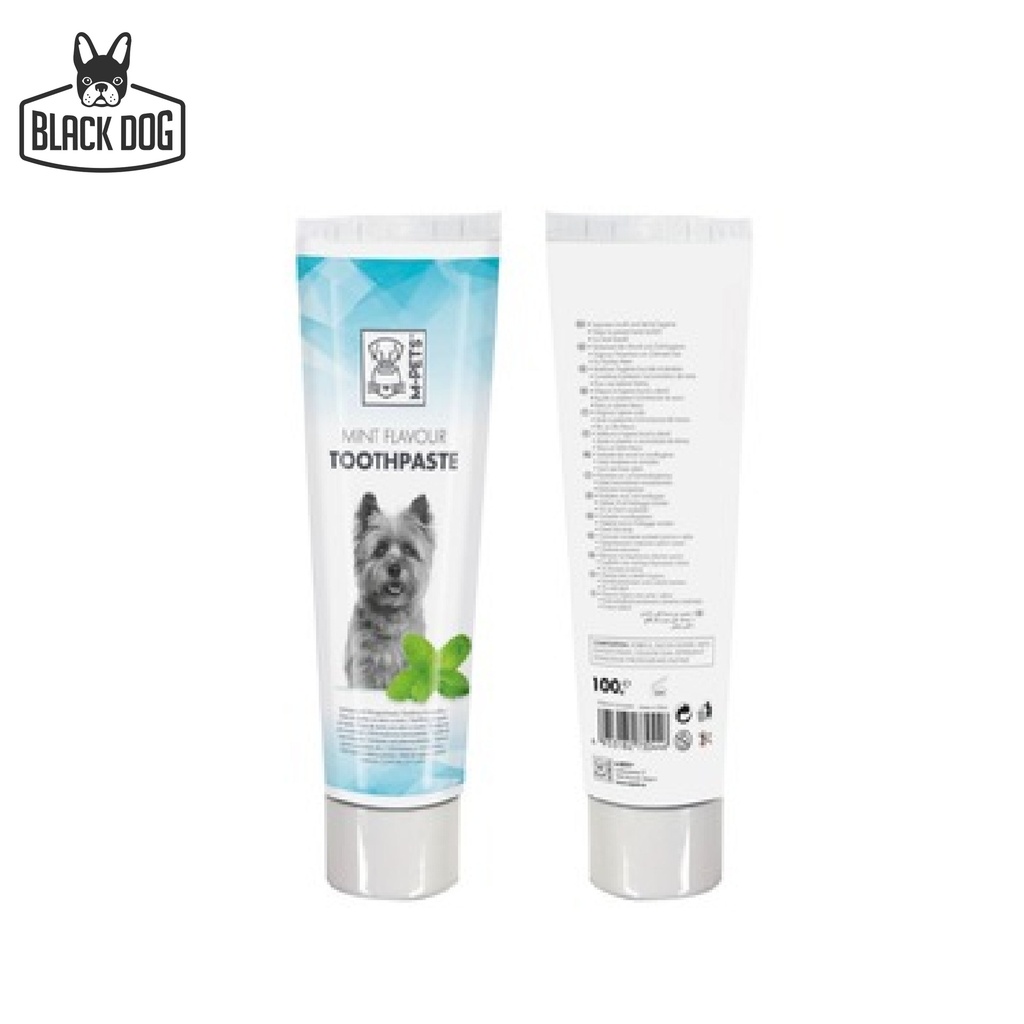 TOOTHPASTE MINT FLAVOUR