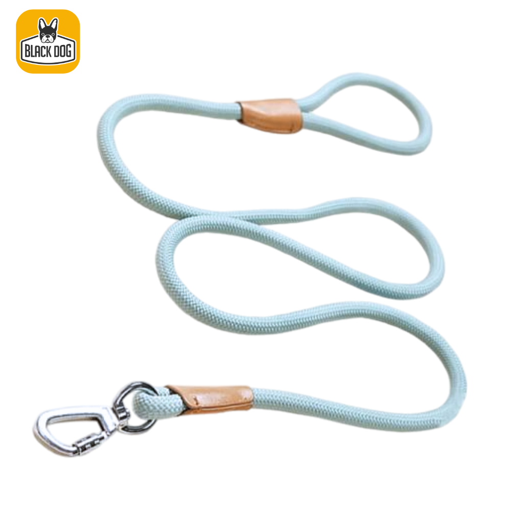 ECO Dog Leash with Secure Lock - Blue