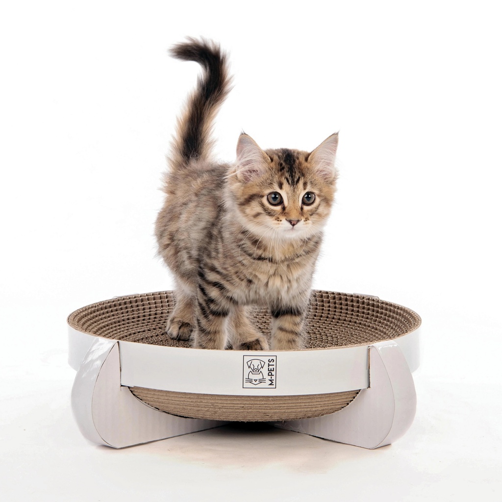 CLEVELAND Scratch Board - 35 x 35 x 10 cm