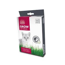 GROW Cat Grass