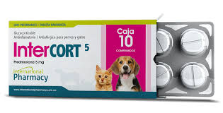 INTER CORT 5 (PREDNISOLONA) COMP