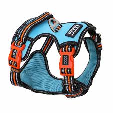 Technical Harness - Beethoven - large
