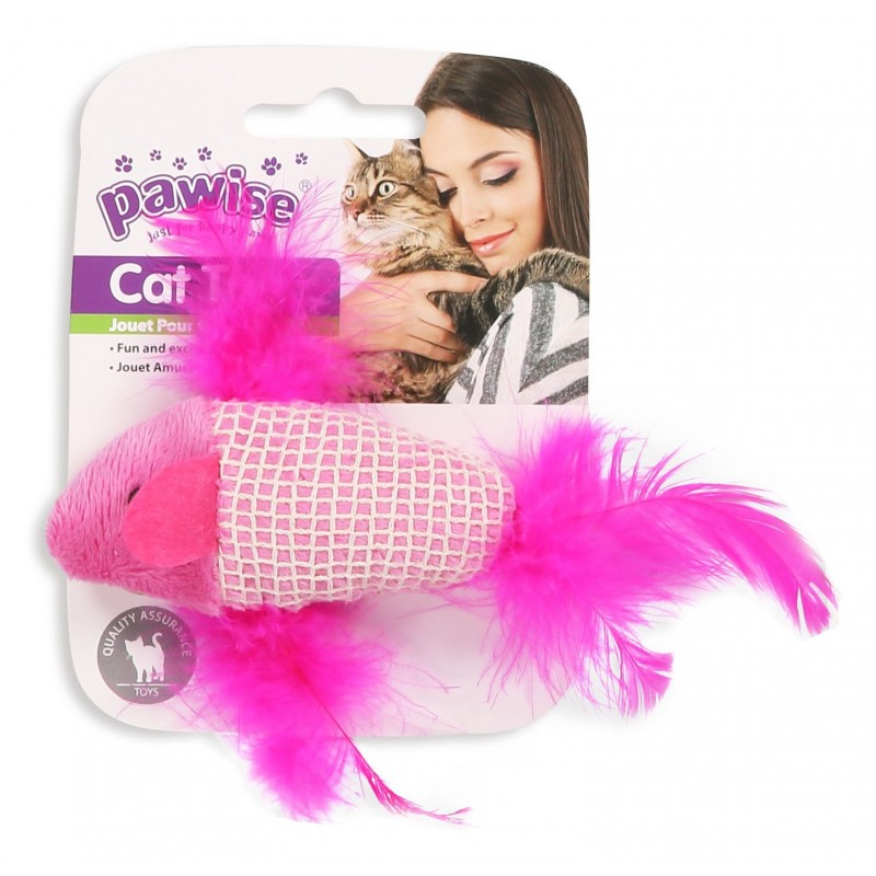 Catnip  Fish   