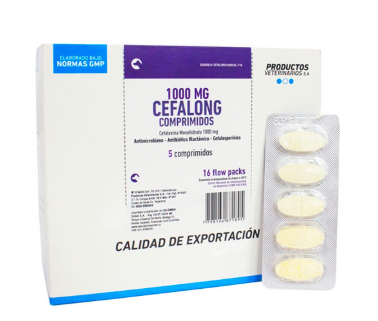 CEFALONG 1000MG