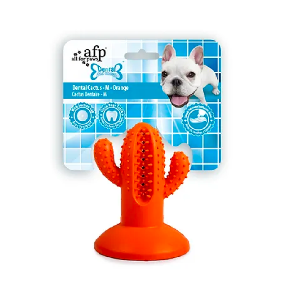 Dental Chews-Cactus Medium Rubber Orange