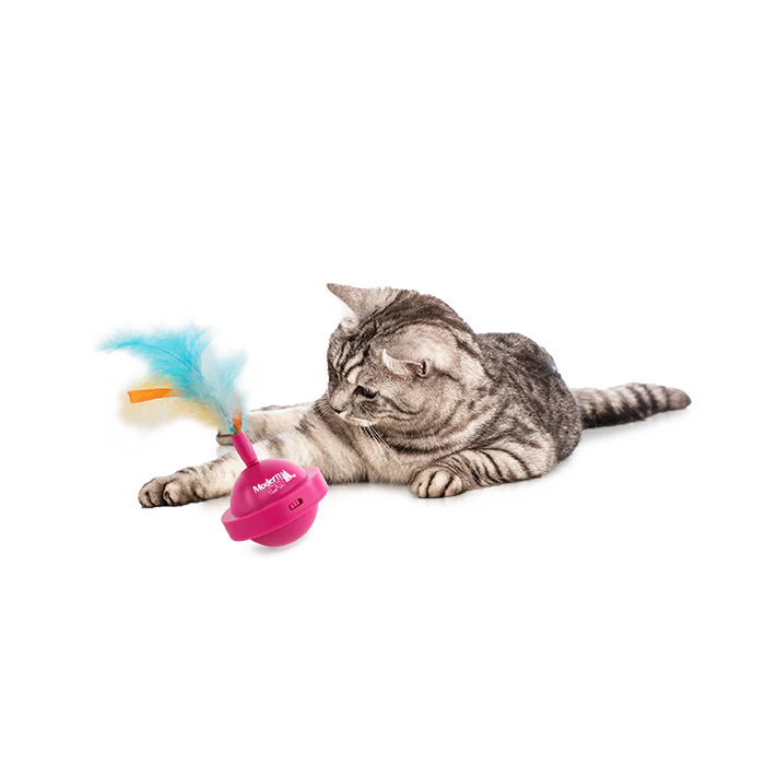 Mordern cat - Spinning Teaser