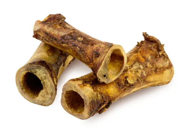 BEEF FEMUR - ZENTA PETS