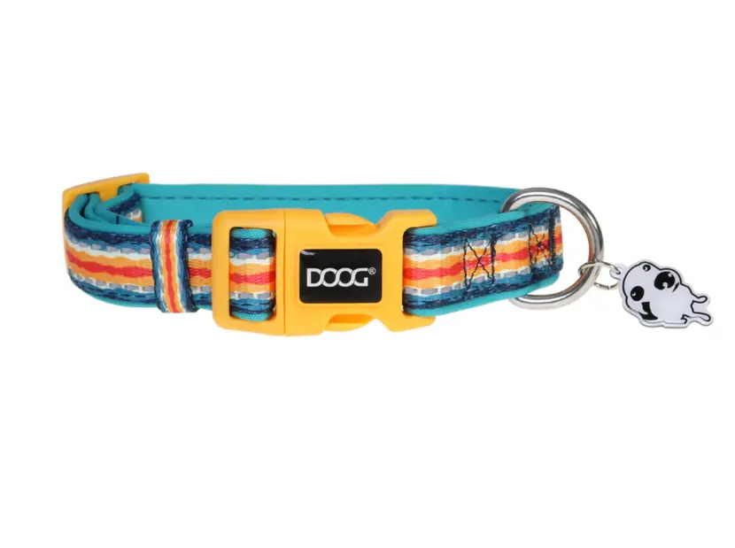 DOOG Neoprene Dog Collar -SCOUT- Large