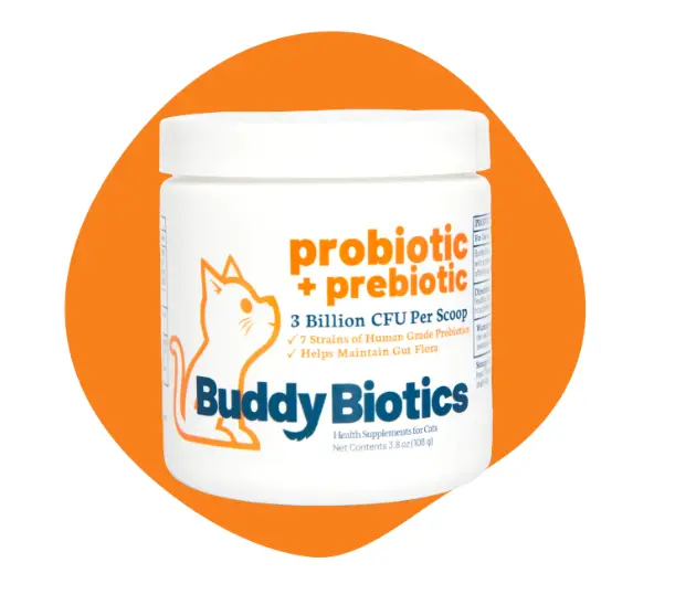 BUDDYBIOTICS / PROBIOTIC - PREBIOTIC CAT 3.8 OZ