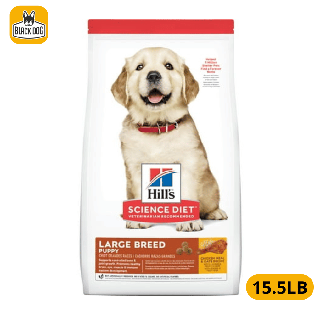 9376 SD PUPPY LARGE BREED 15.5LB