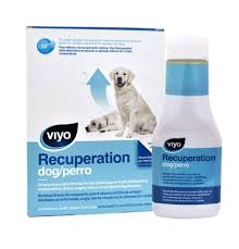 [VRPBOT] VIYO RECUPERACION PERRO
