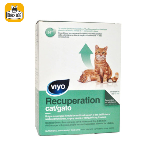 [VRGBOT] VIYO RECUPERACION GATO