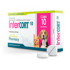 [7451107900589] INTER CORT 10MG (PREDNISOLONA) COMP