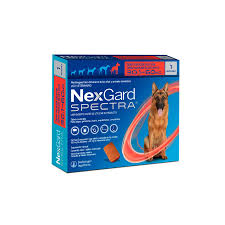 [010117] NEXGARD SPECTRA XL 30.1 - 60KG