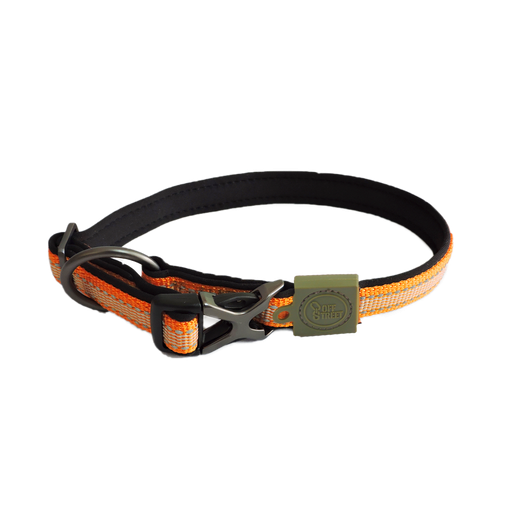 [7020] DOG COLLAR - TANGERINE-S