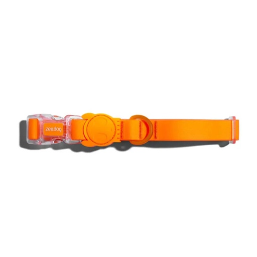[7021] DOG COLLAR - TANGERINE-M