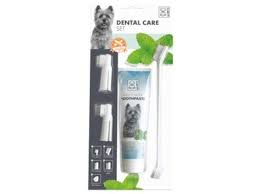 [10110799] DENTAL CARE Set - mint flavour