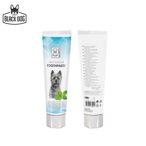 [10113099] TOOTHPASTE MINT FLAVOUR