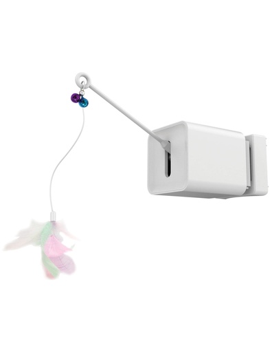 [20617301] BOOGIE Box