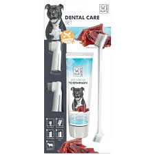 [10117299] DENTAL CARE SET - Beef flavor Toothpaste Kit