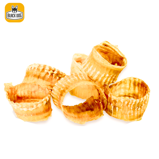 [ZP0317] TRACHEA RINGS