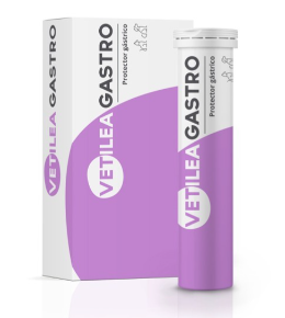 [8436588990013] VETILEA GASTRO