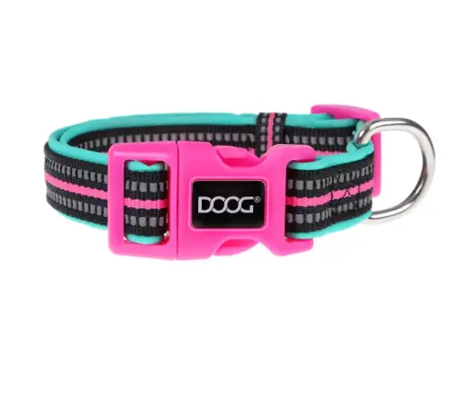 [COLTIN-M] DOOG Neoprene Dog Collar RIN TIN TIN (Neon)- Medium