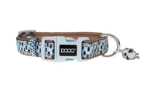 [COLDAS-M] DOOG Neoprene Dog Collar -DASH- Medium