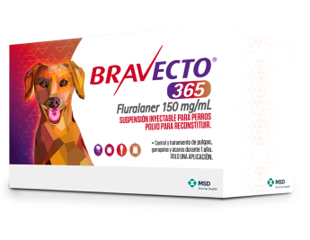 BRAVECTO 365 - 5 KG A 10 KG