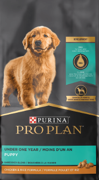 [387-1146] PRO PLAN FOCUS PUPPY CHICKEN RICE 6LB