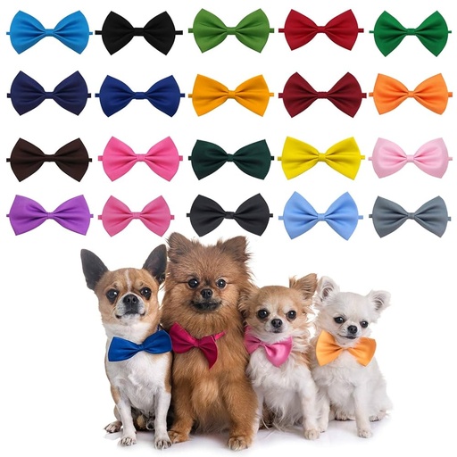 [P022] PAWCHI MOÑO DE COLORES